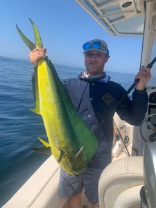 Angler standing in water in Osterville