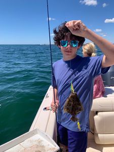 A European flounder fish caught fishing in MA