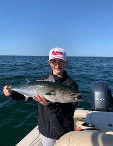 A picture of a little tunny, a 22-inch fish caught while fishing in Osterville.
