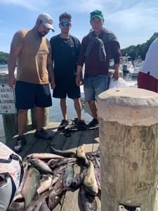 Fishermen with a big fish in Osterville