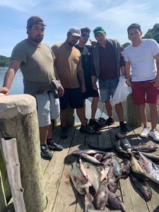5 people fishing in MA