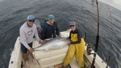 A group of 3 people fishing in Osterville