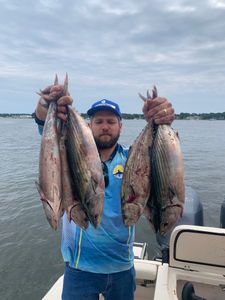 Fishing in MA with 4 big fish