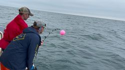 Angler fishing in MA