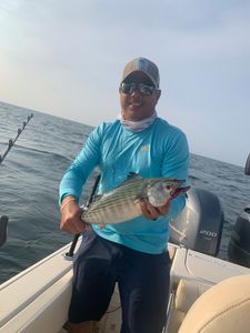 Angler with a catch in Osterville
