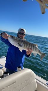 Striped bass caught fishing in MA