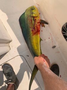 Lone angler fishing in MA