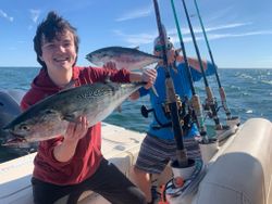 Two little tunny fish caught in Osterville