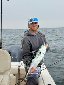 Photograph of a Little Tunny fish caught by a lone fisherman in Osterville