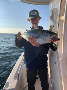 Lone angler fishing in Osterville
