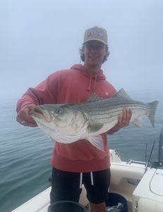 Striped bass fishing in Osterville