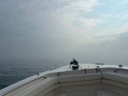 Serene fishing scene in Osterville