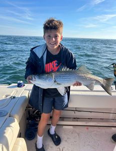 Striped bass caught on fishing trip in MA