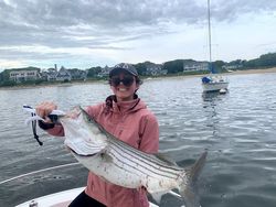 Striped bass caught while fishing in MA