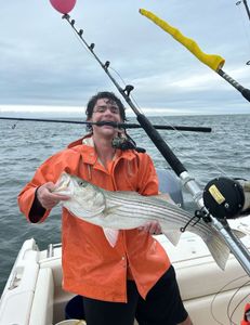 Striped bass fishing in MA