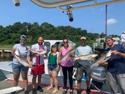 Striped Bass fishing in MA