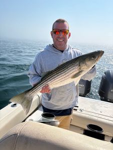 A striped bass caught while fishing in MA