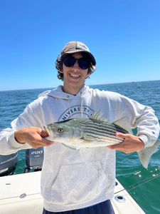 Striped bass caught fishing in Osterville