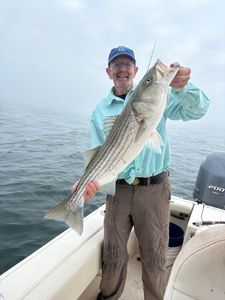 Striped bass caught while fishing in Osterville