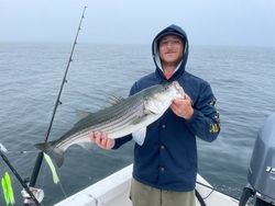 Striped bass caught fishing in Osterville