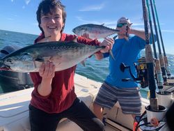 Two little tunny fish caught while fishing in MA