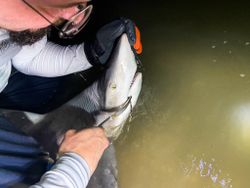 Fishing trip in NJ
