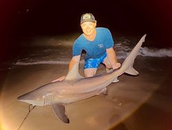 Blacktip shark caught fishing in NJ