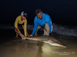 A blacktip shark, a 43-inch big fish, caught while fishing in NJ