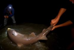 Stunning coastal scene at Cape May
