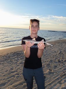 Dusky Smooth-Hound fish caught in Cape May