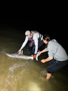 Fishing in NJ