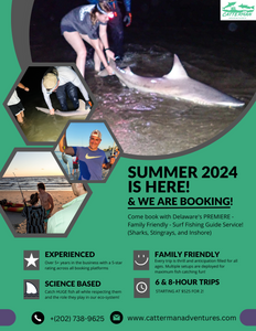 Sandbar shark, 61 inches, caught by fishing in Cape May