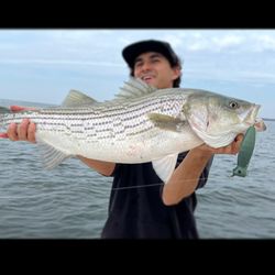 One fisherman catching a 30-inch fish in New York