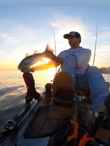 Striped bass caught by two people fishing in NY