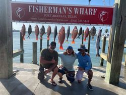 10 grey triggerfish caught in Corpus Christi