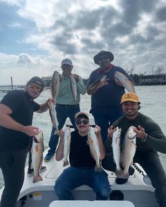Eight redfish and spotted weakfish in a fishing scene in Texas