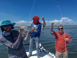A Rainbow Trout measuring 10 inches caught while fishing in Corpus Christi