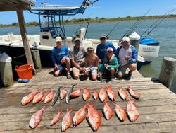 A group of 4 redfish measuring 22 inches caught by 6 people in Corpus Christi while fishing.