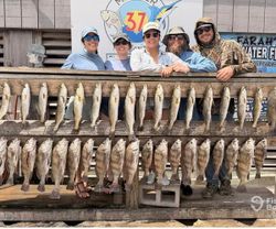 Large catch of black drum fish displayed on wooden dock in Corpus Christi TX