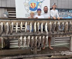 Multiple black drum fish displayed on wooden dock after successful fishing trip in Corpus Christi Texas