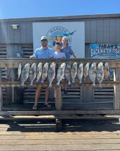 Fishing charter displaying catch of black drum at dock in Corpus Christi TX