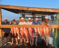 12 bluefish caught fishing in Corpus Christi