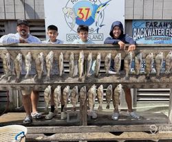 Fresh caught black drum and American yellow perch displayed on wooden dock rail in Corpus Christi TX