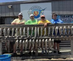 Fishing charter displaying catch of Black Drum and other species in Corpus Christi TX
