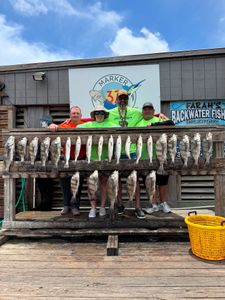 3 black drum fish caught in Corpus Christi