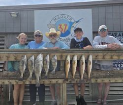 Nine fish catch including black drum and redfish displayed on wooden rail in Corpus Christi TX