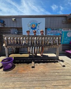 Large catch of fish displayed on cleaning station at fishing dock in Corpus Christi TX