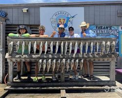 Large catch of fish displayed on wooden rack at fishing charter in Corpus Christi TX