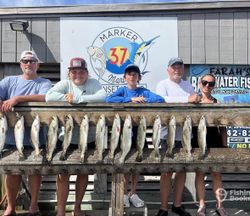 Display of 13 fresh caught fish lined up on wooden dock railing in Corpus Christi TX