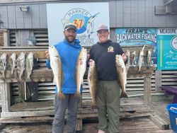 Successful fishing trip in Corpus Christi TX displaying caught redfish and black drum at marina dock
